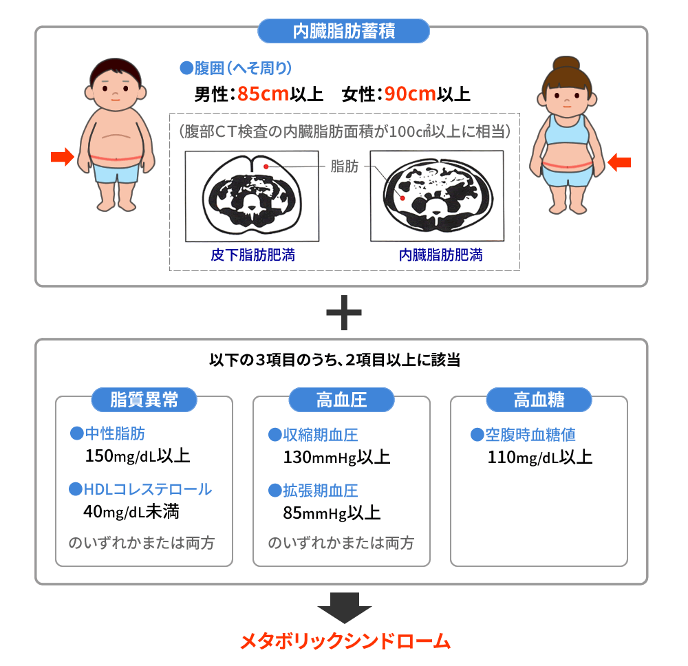 メタボと糖尿病予備軍は心筋梗塞発症を促進する