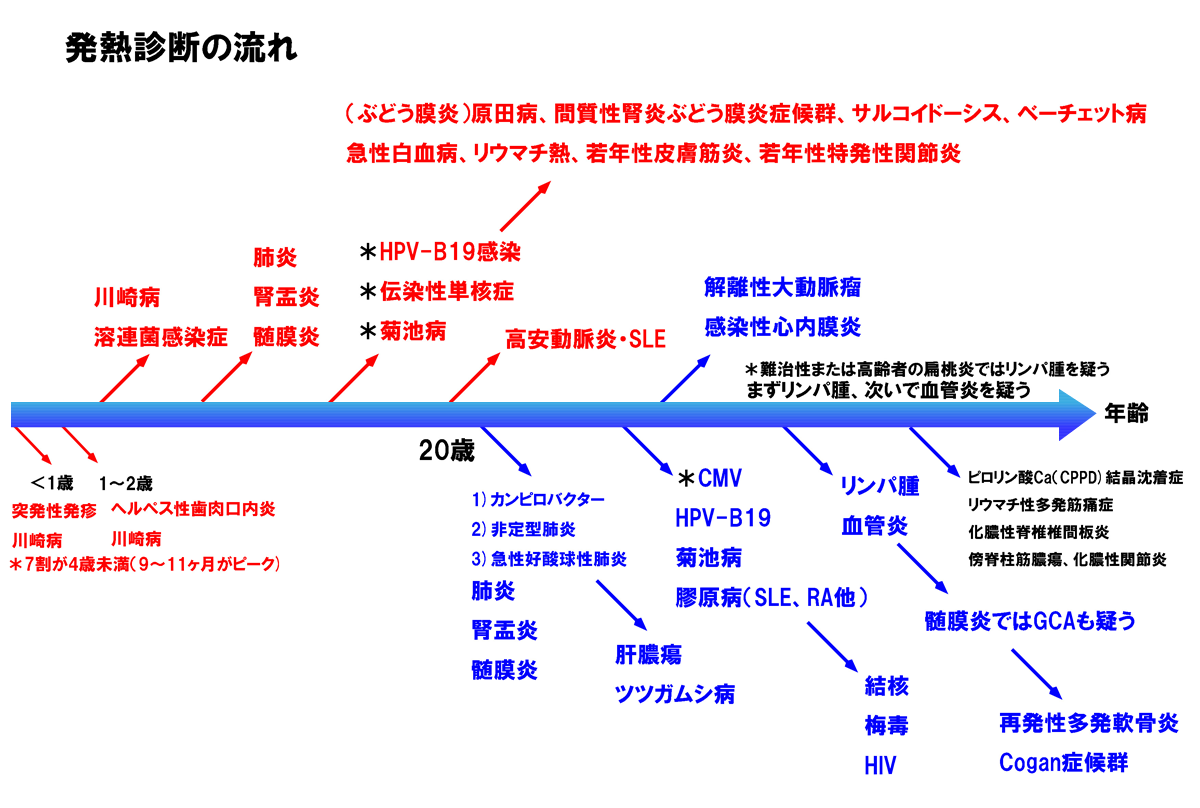 発熱 性 消耗 性 疾患 と は